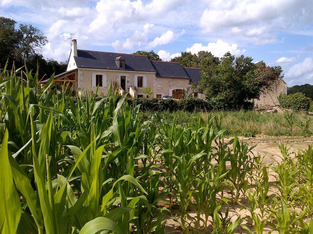 La Tale Bed and Breakfast Chahaignes Εξωτερικό φωτογραφία